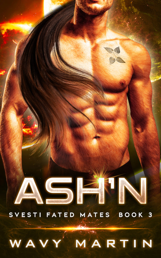 Ash'n - ebook